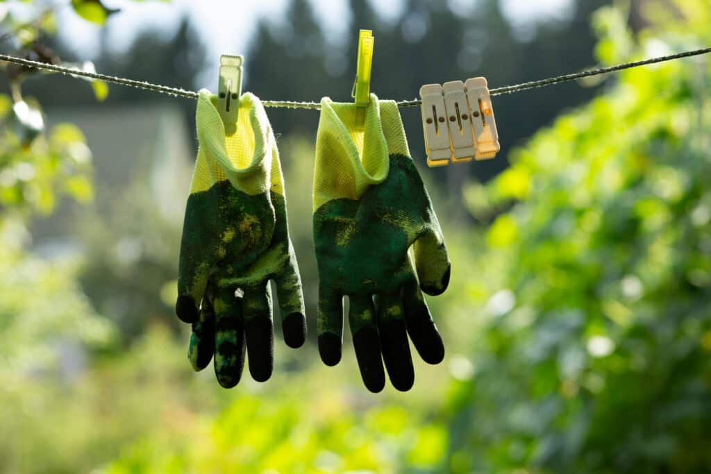 Pair of gardening gloves with clothespins on a clothesline in a sunny garden.