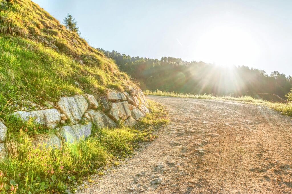 Serene landscape of a sunlit dirt road curving through lush green hills at sunrise.