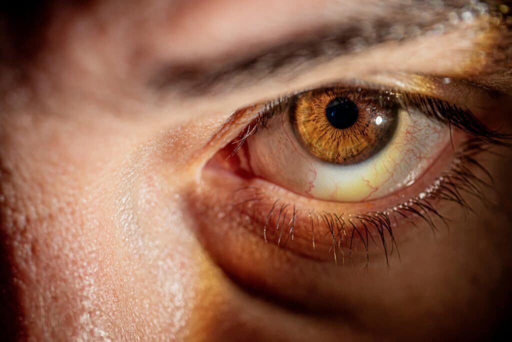 A detailed macro photograph focusing on the intricate patterns of a human eye.