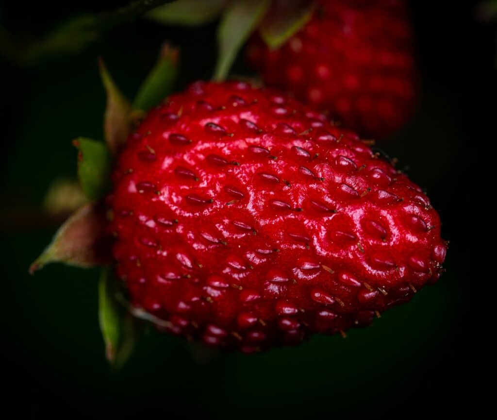 Detailed macro closeup of a fresh and juicy red strawberry, highlighting its vibrant colors.